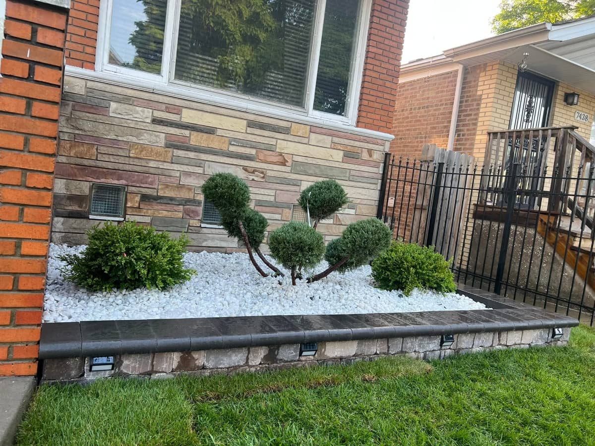front yard with plants on gravel surface