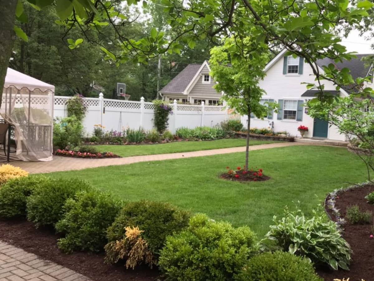 landscaping design with trees and cut grass