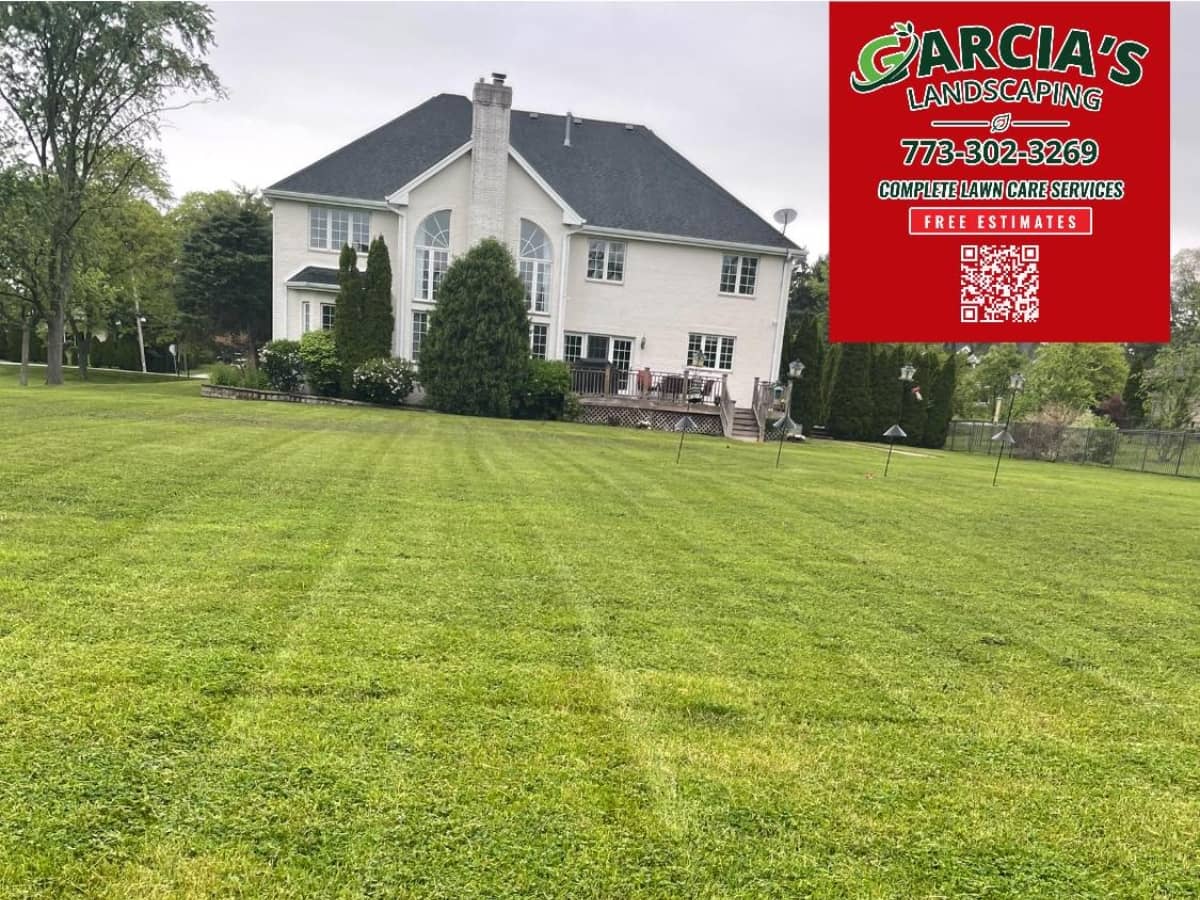 large yard freshly cut and trimmed