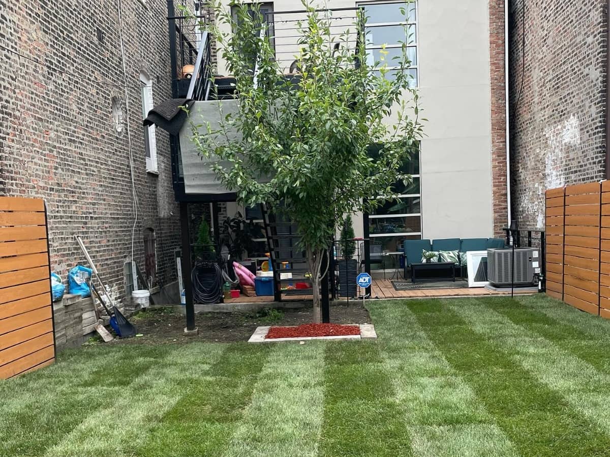 backyard cut with beautiful design