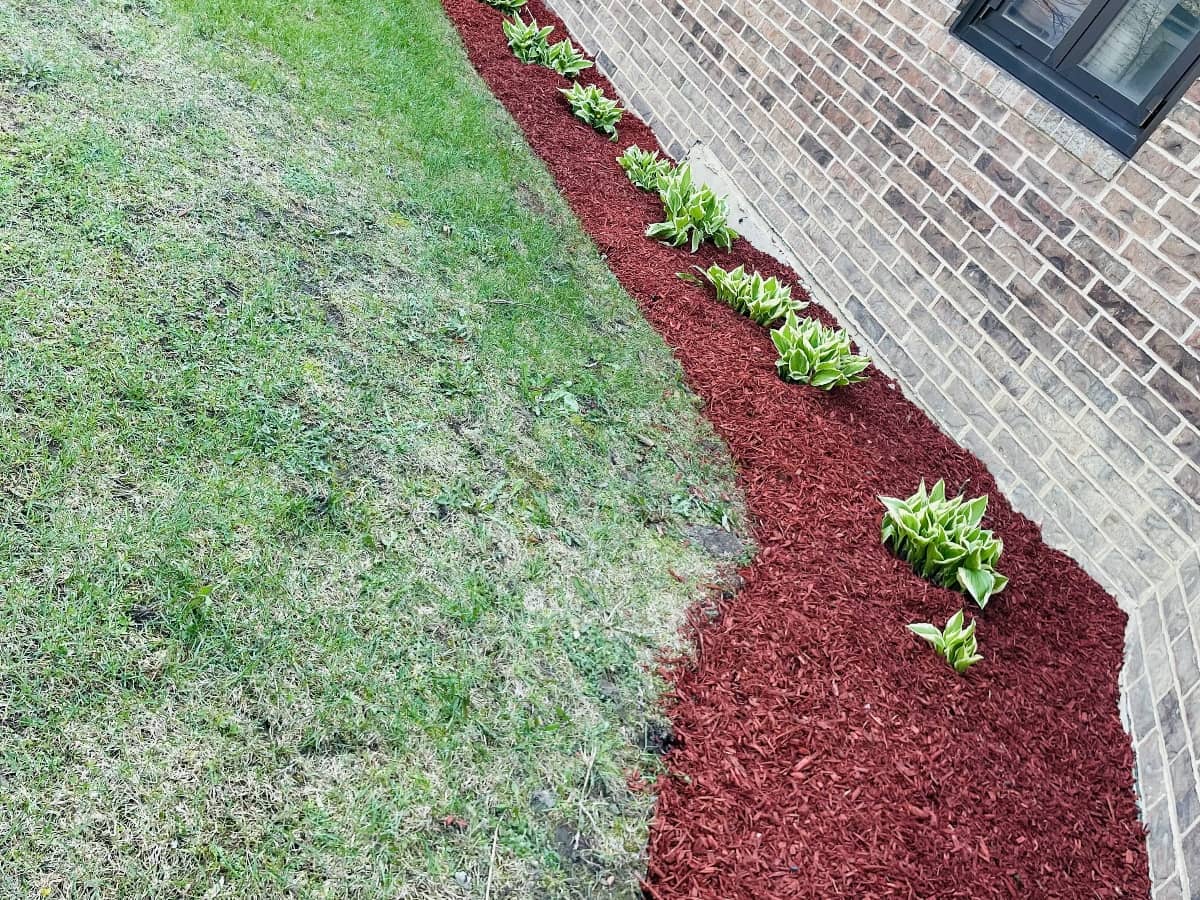 cut grass with red mulch added on house side