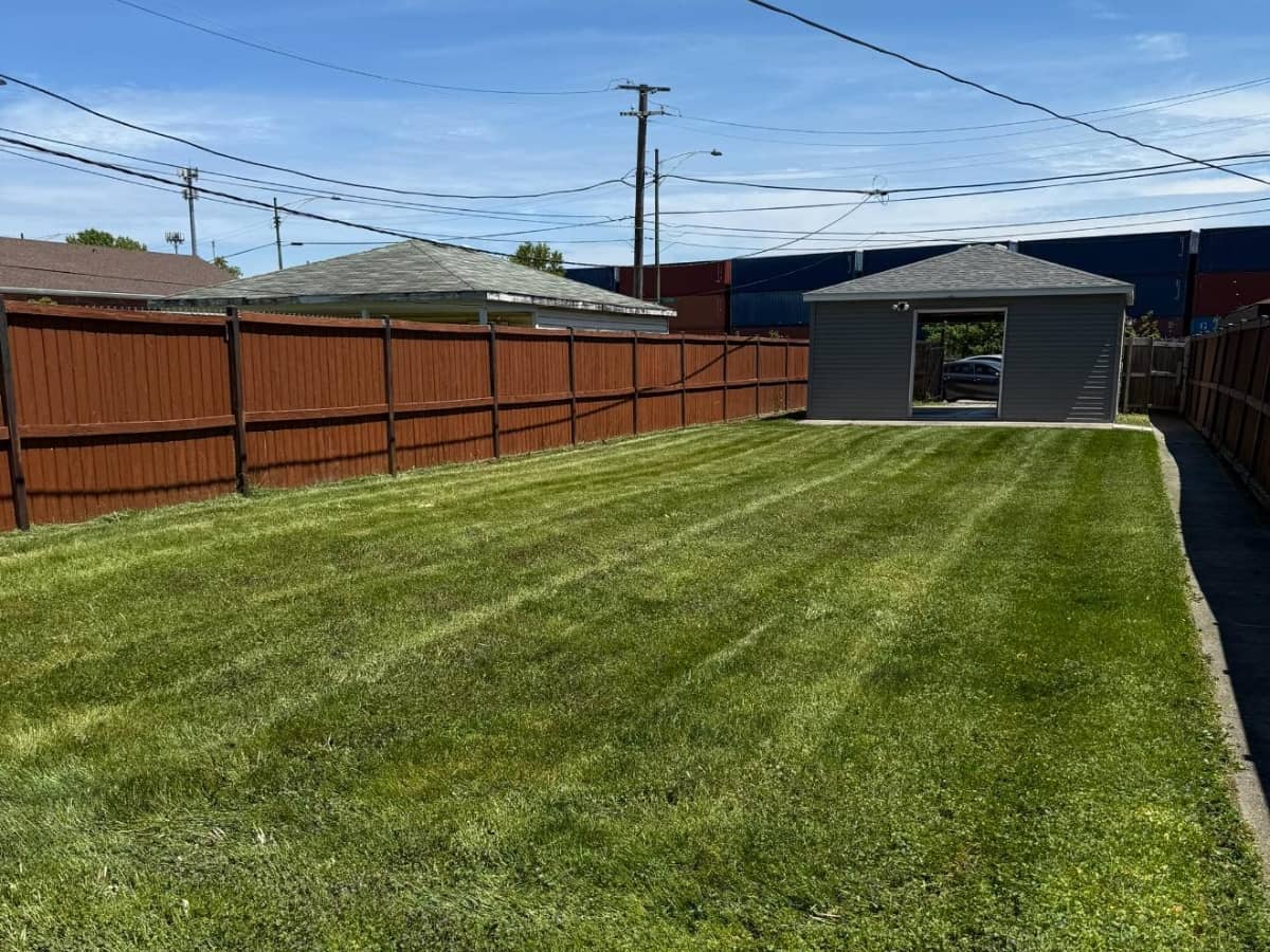 freshly mowed backyard