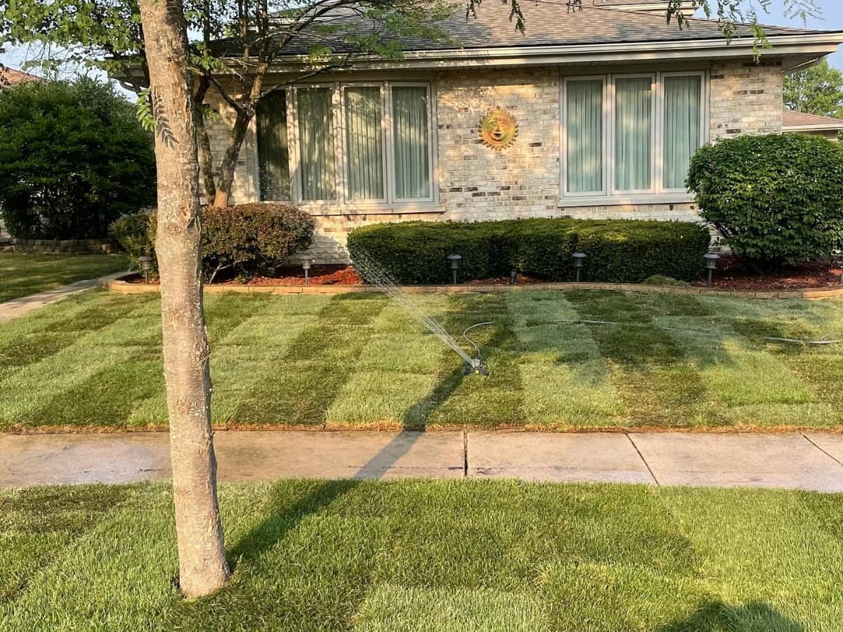 new turf freshly installed