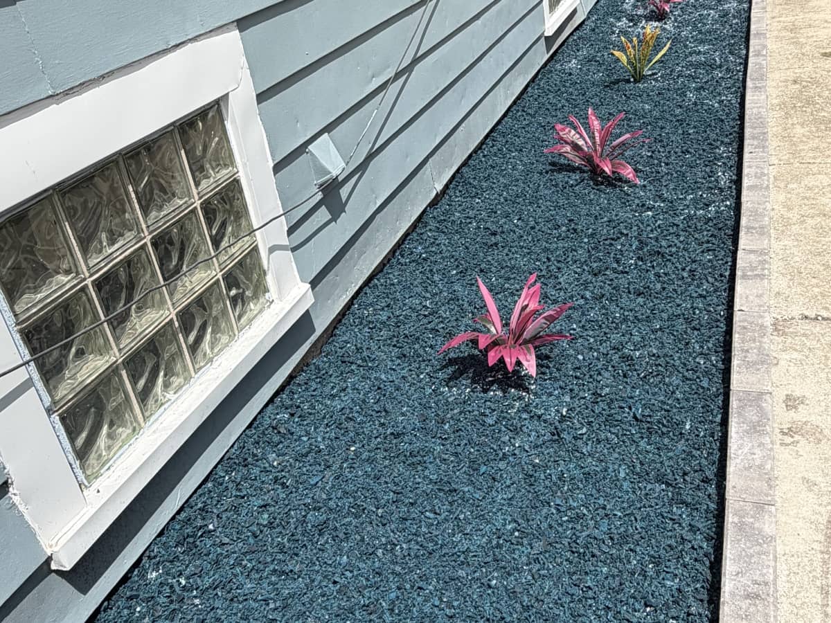 unique blue mulch installation